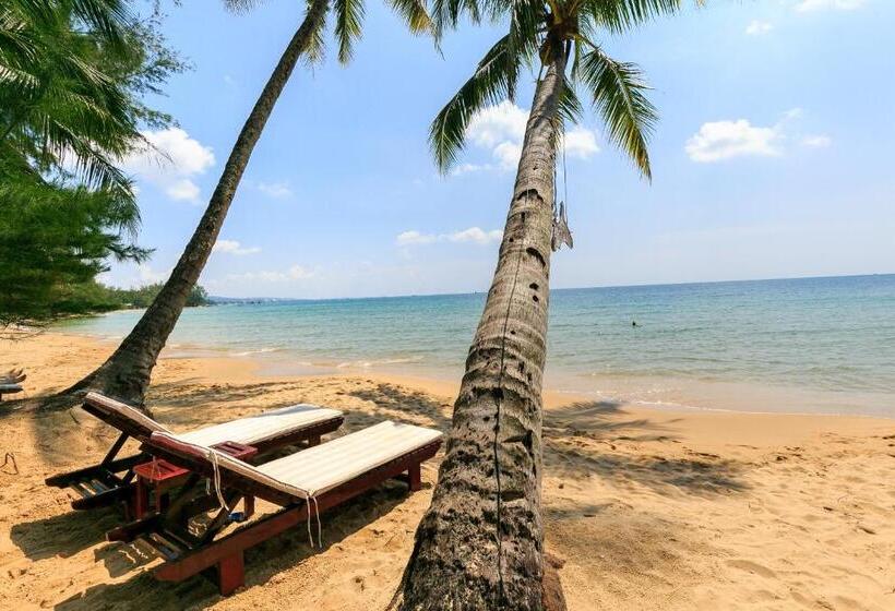 Hotel Mayfair Valley