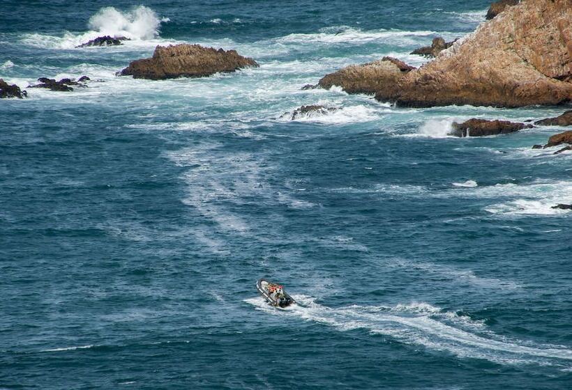 בית מלון כפרי The Mount Knysna