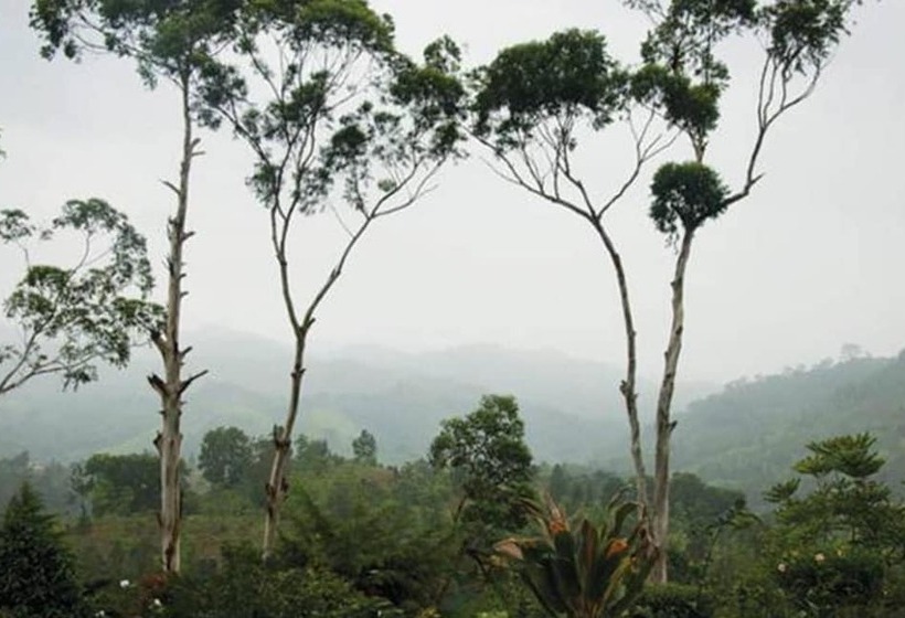 Pensão Hatale Tea Garden Bungalow