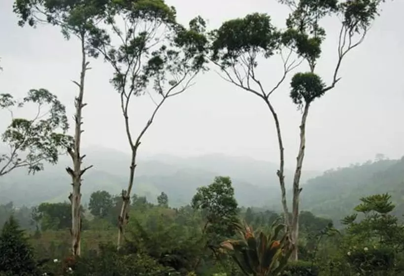 Majatalo Hatale Tea Garden Bungalow