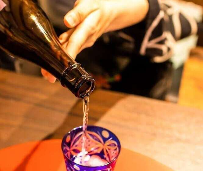 Rjokan Minshuku Ikemori