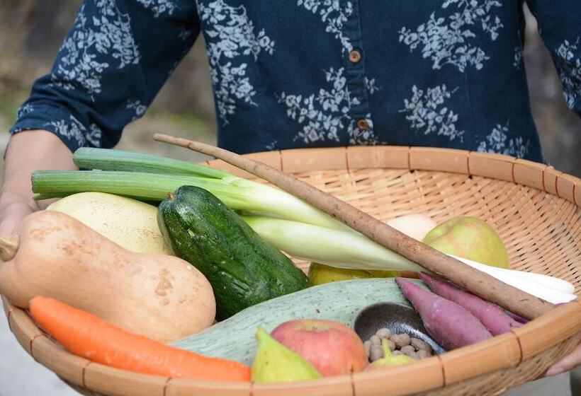 Rjokan Minshuku Ikemori