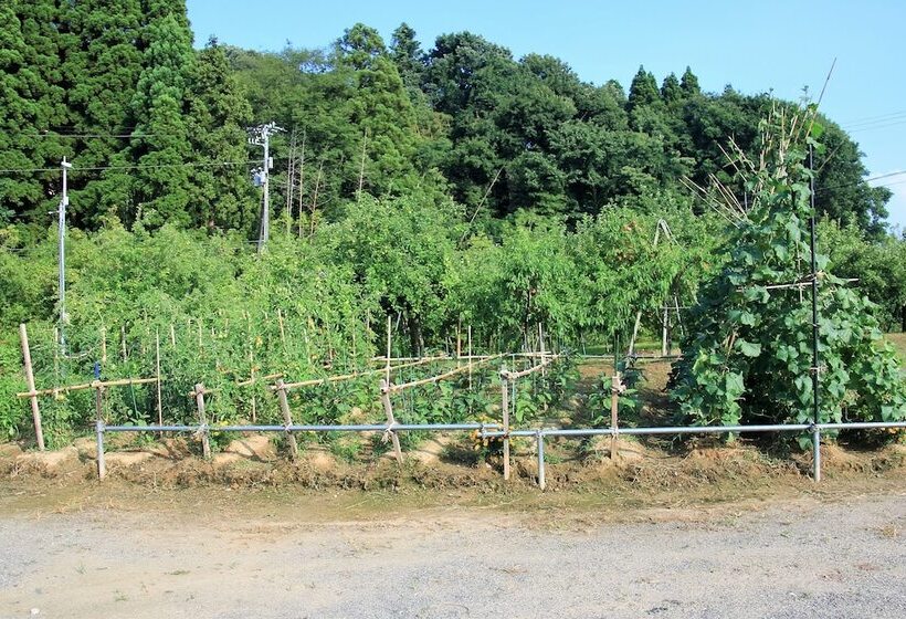 Rjokan Minshuku Ikemori