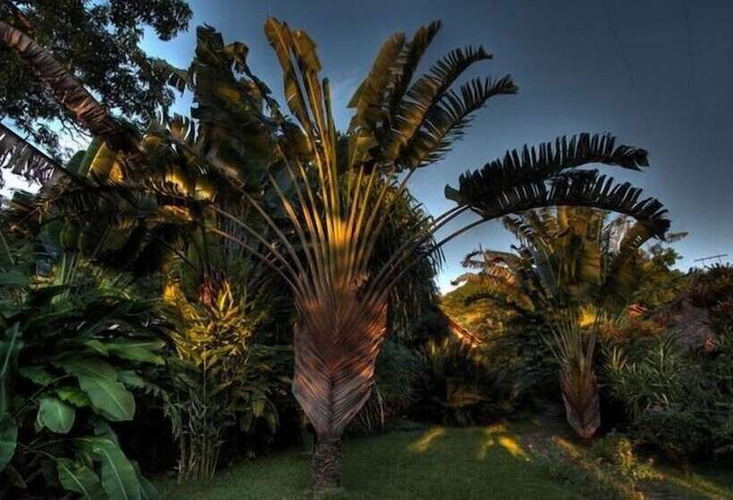 هتل Clair De Lune