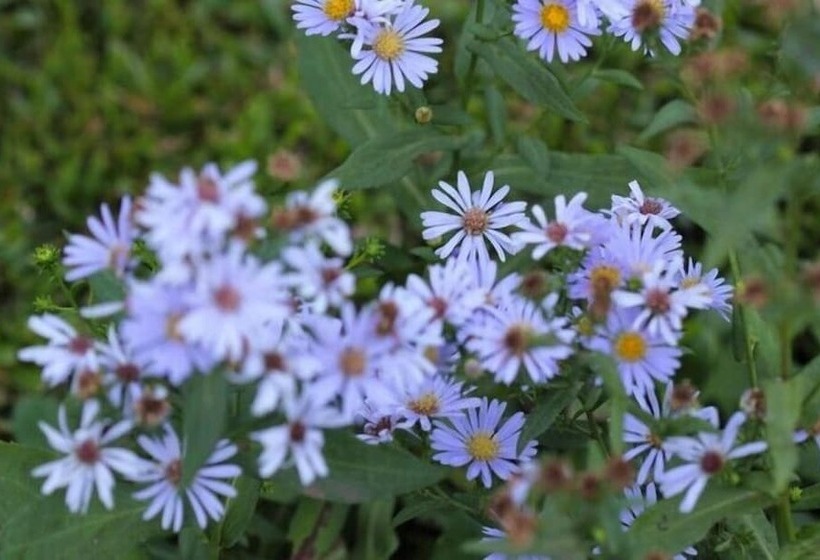 هتل Clair De Lune