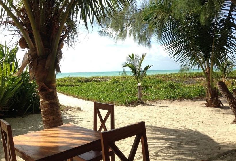 בית מלון כפרי On The Rock Zanzibar