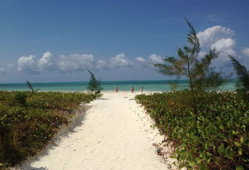 בית מלון כפרי On The Rock Zanzibar