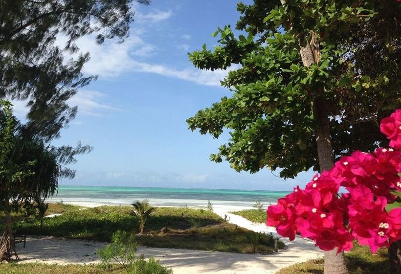 בית מלון כפרי On The Rock Zanzibar