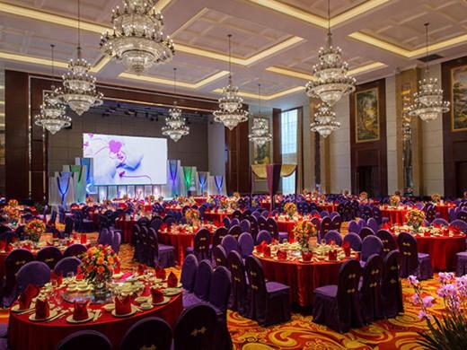 Отель Vienna Venus Royal  Guangdong Yangxi Branch