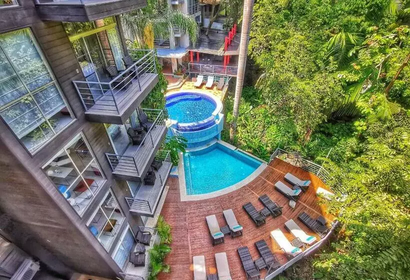 Jungle Vista Boutique