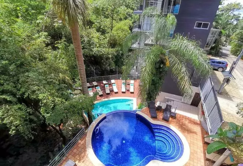 Jungle Vista Boutique