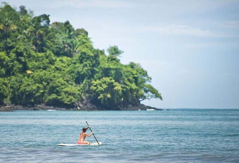 Jungle Vista Boutique