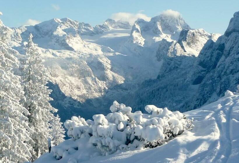 酒店 Andrea Schmaranzer   Privatzimmer