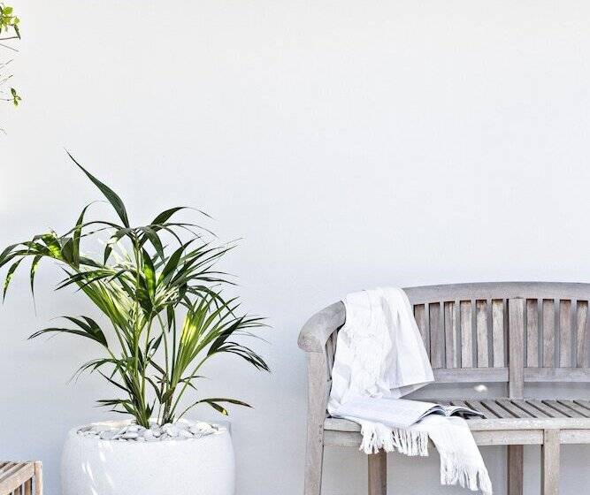 Отель Cape Beach House