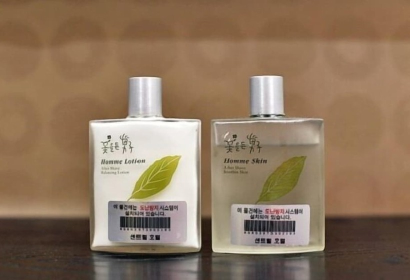 בית מלון כפרי Central