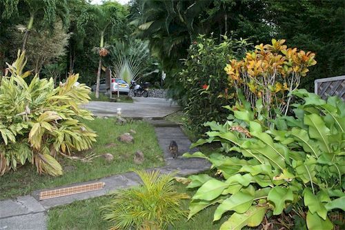 Oasis De Grande Anse