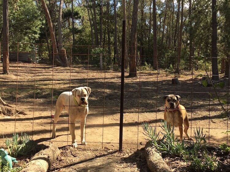 Пансион Spa Suites At Raven