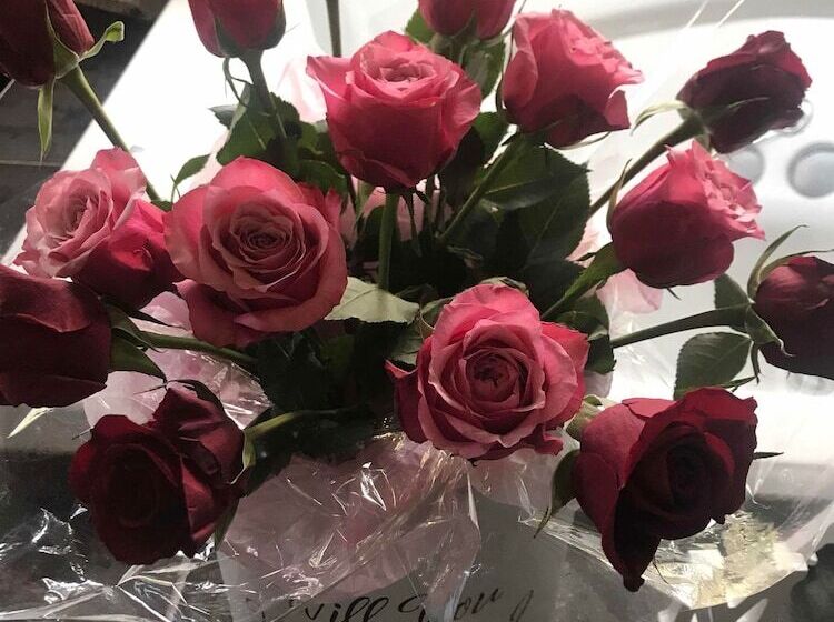 Пансион Spa Suites At Raven