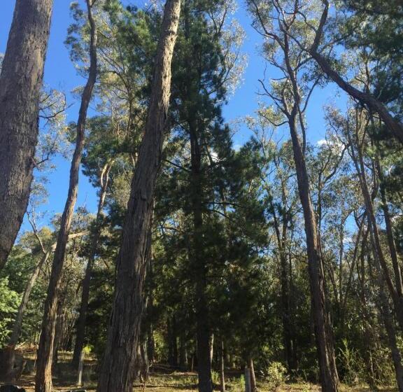 Пансион Spa Suites At Raven