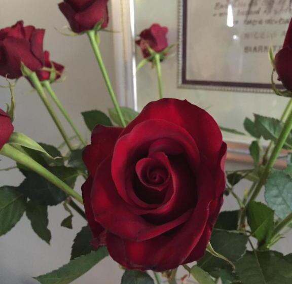 Пансион Spa Suites At Raven