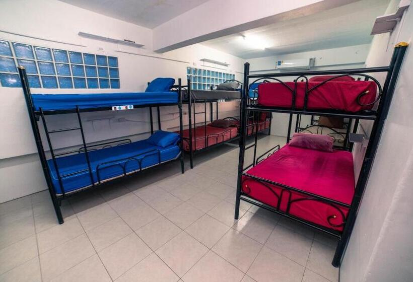 Phangan Arena Hostel
