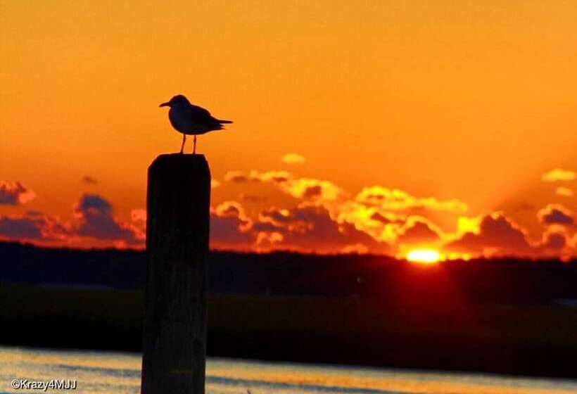 리조트 Snug Harbor Marina And