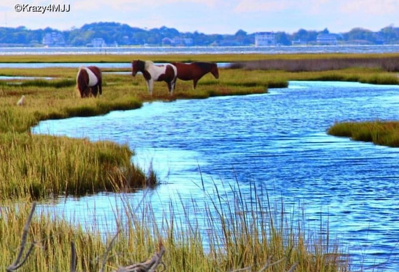 리조트 Snug Harbor Marina And