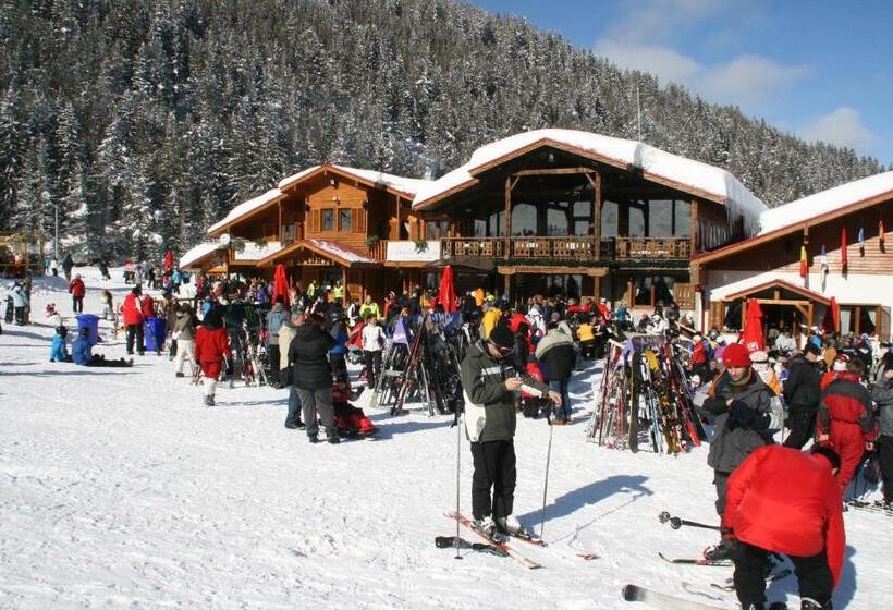 فندق Pirina Club