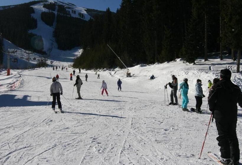 فندق Pirina Club