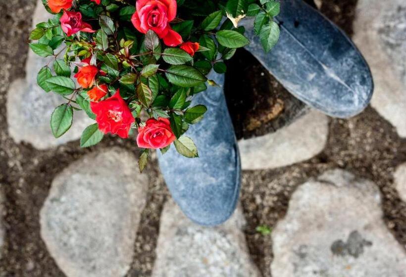 فندق Pirina Club