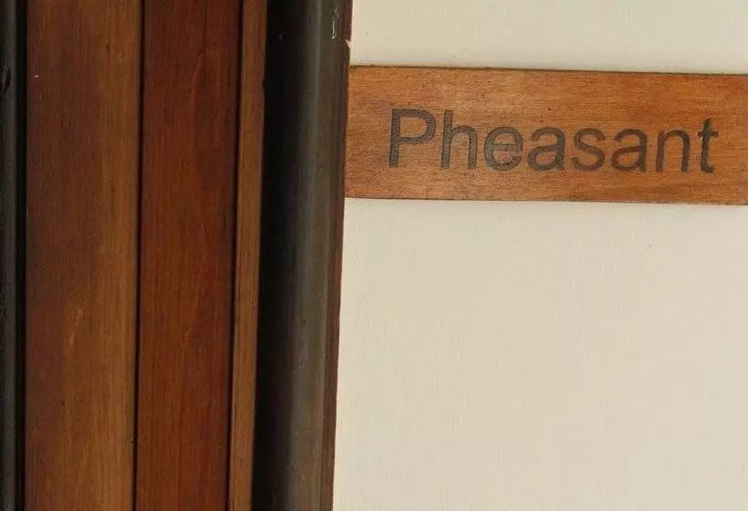 Aamiaismajoitus (B&B) Costislost Organic Retreat