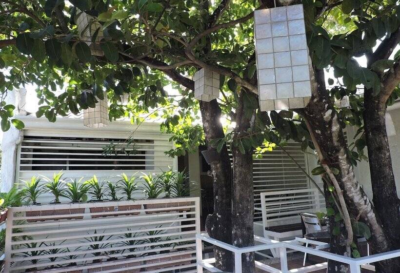 ベッドアンドブレックファースト Orange Mangrove Pension House