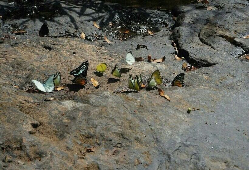 בית מלון כפרי Jungle Koh Kood Resort