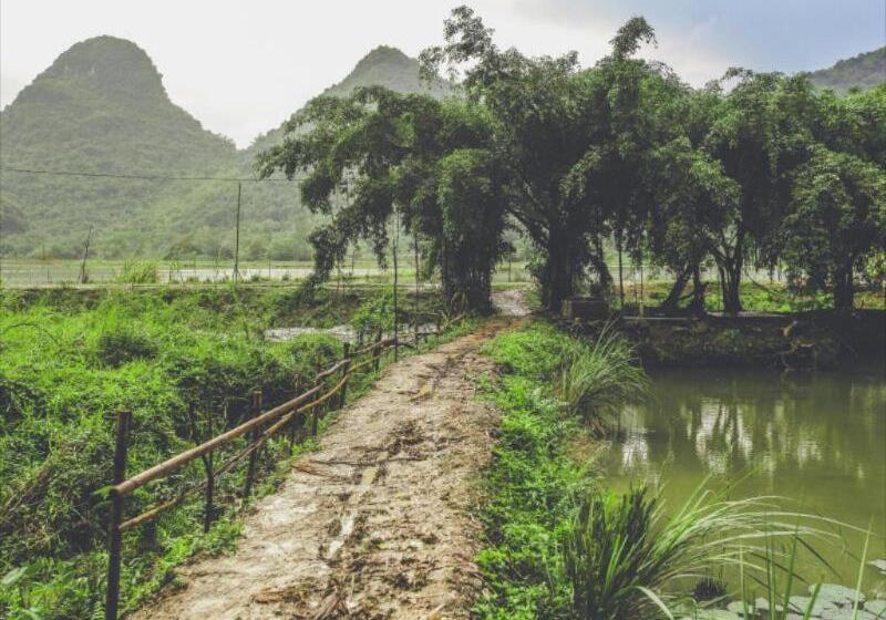 هتل Tam Coc Rice Fields Resort