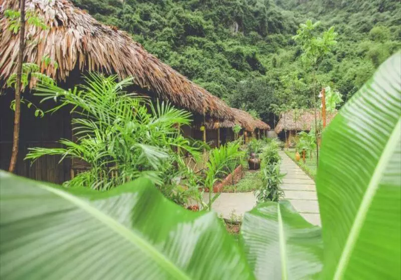 هتل Tam Coc Rice Fields Resort