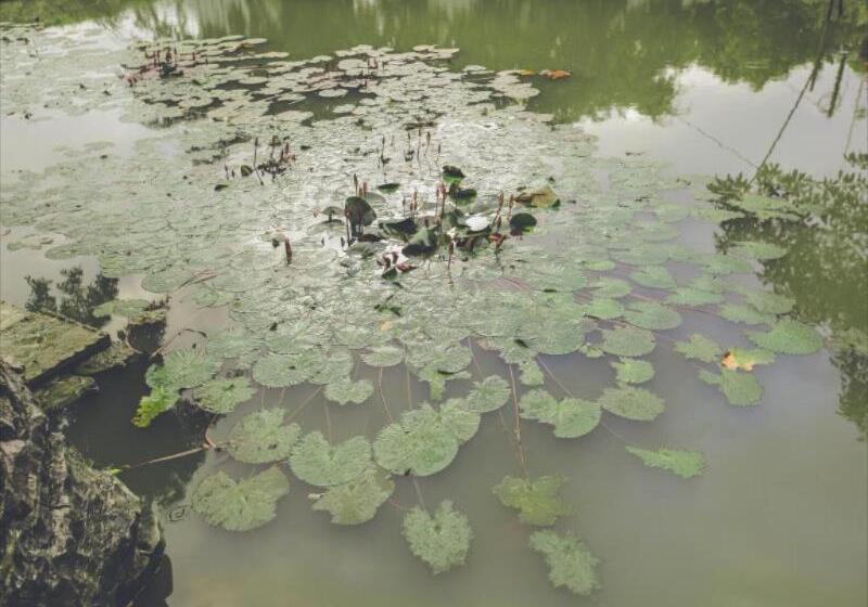 هتل Tam Coc Rice Fields Resort