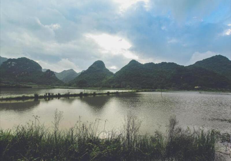 هتل Tam Coc Rice Fields Resort