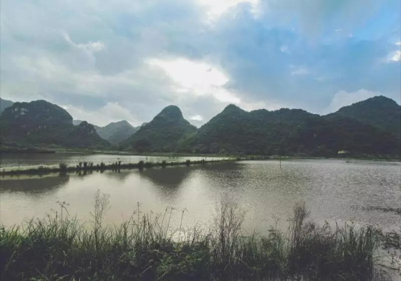 هتل Tam Coc Rice Fields Resort