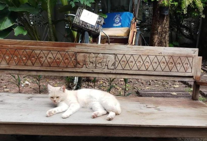 پانسیون Baan Rare Guesthouse