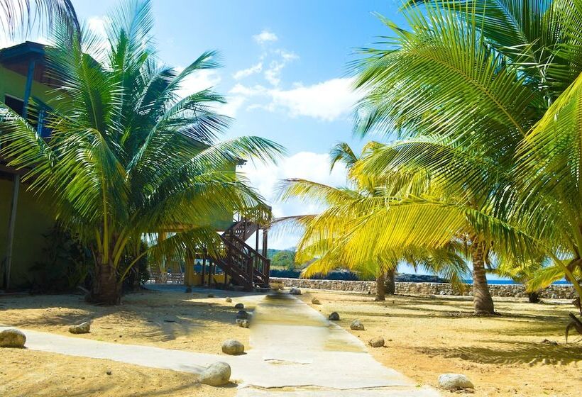 پانسیون Le Mer Guest House & Villa   Lucea