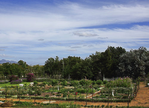 膳宿费 Muldersvlei Estate