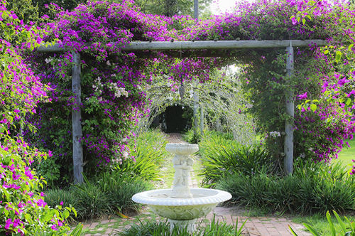 膳宿费 Muldersvlei Estate