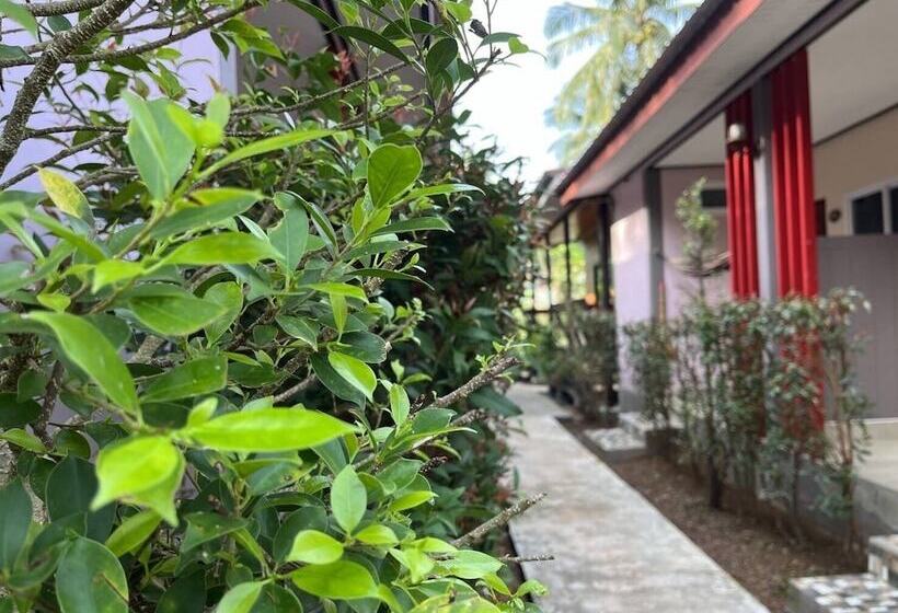 Pensiune Ok Chawkoh Bungalow