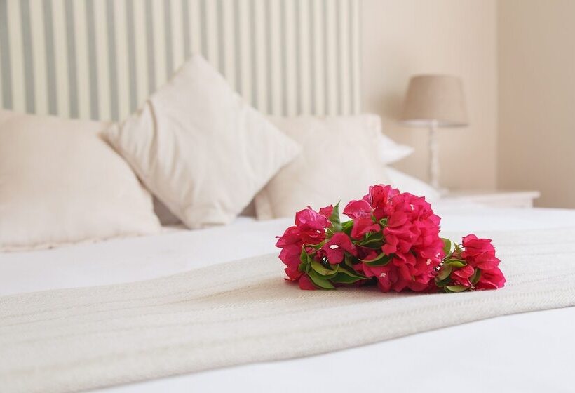 פנסיון Whales Way Ocean Retreat