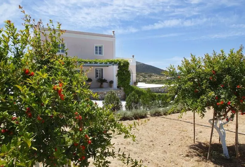 Casa Del Sol Syros