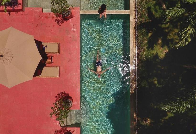 هاستل Hostal El Choco