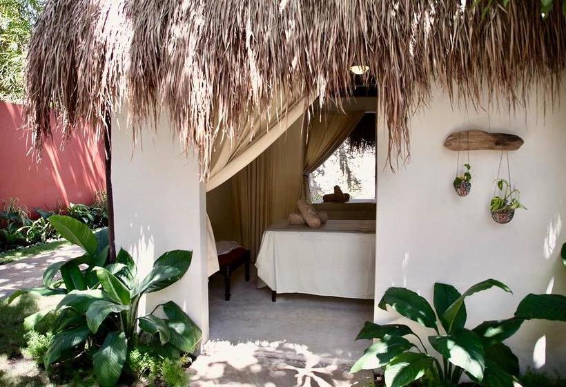 هاستل Hostal El Choco