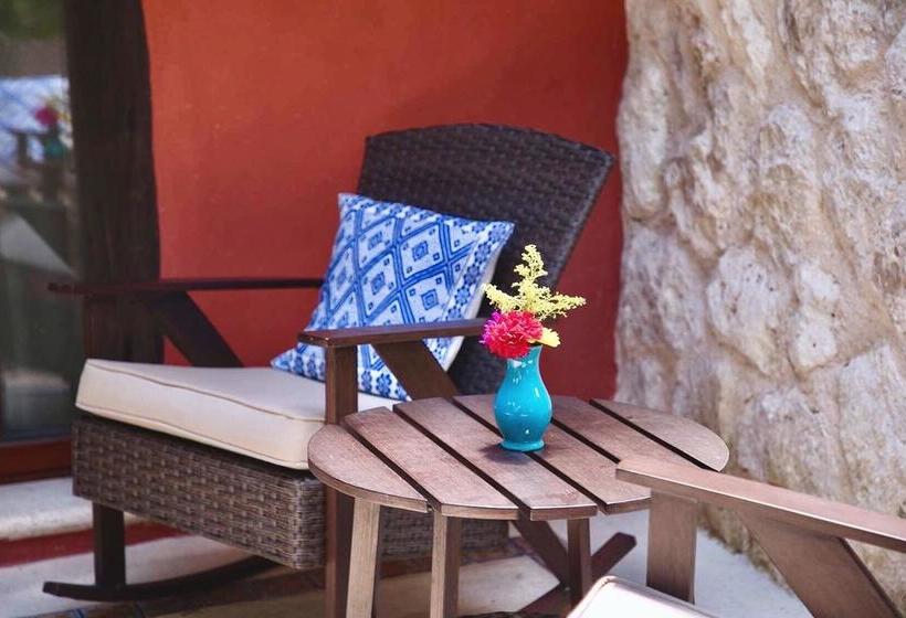 هاستل Hostal El Choco