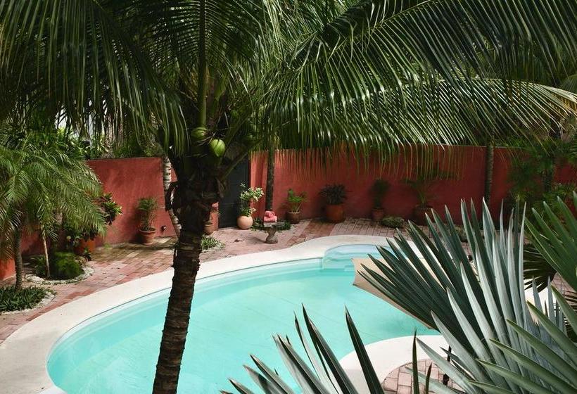 هاستل Hostal El Choco