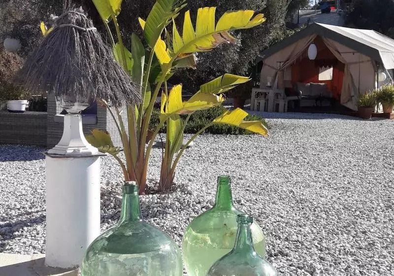 Campo Agave B&b